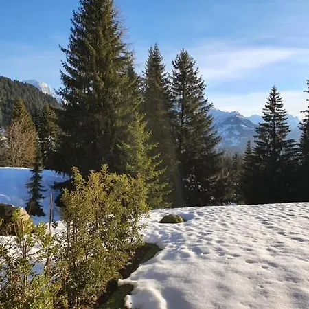 Bel En Montagne * Villars-sur-Ollon