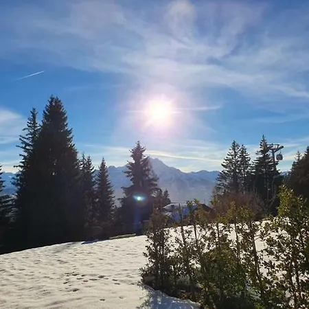 Bel En Montagne * Villars-sur-Ollon